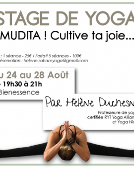 stage de yoga